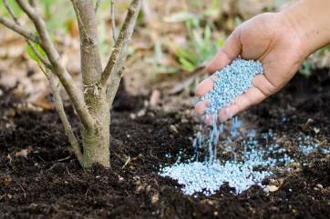 С начала года производство в РФ удобрений снизилось более чем на 10%